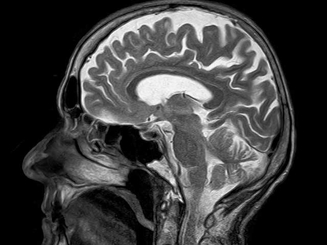 Houston Texas Lawyer