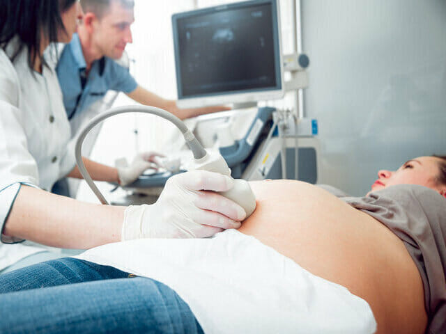 Houston Texas Lawyer