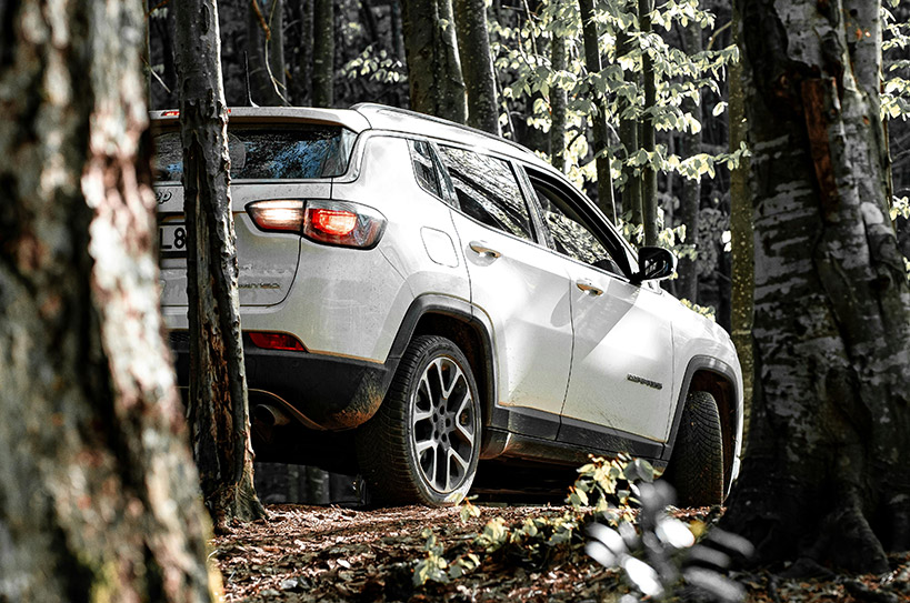 Houston Texas Lawyer